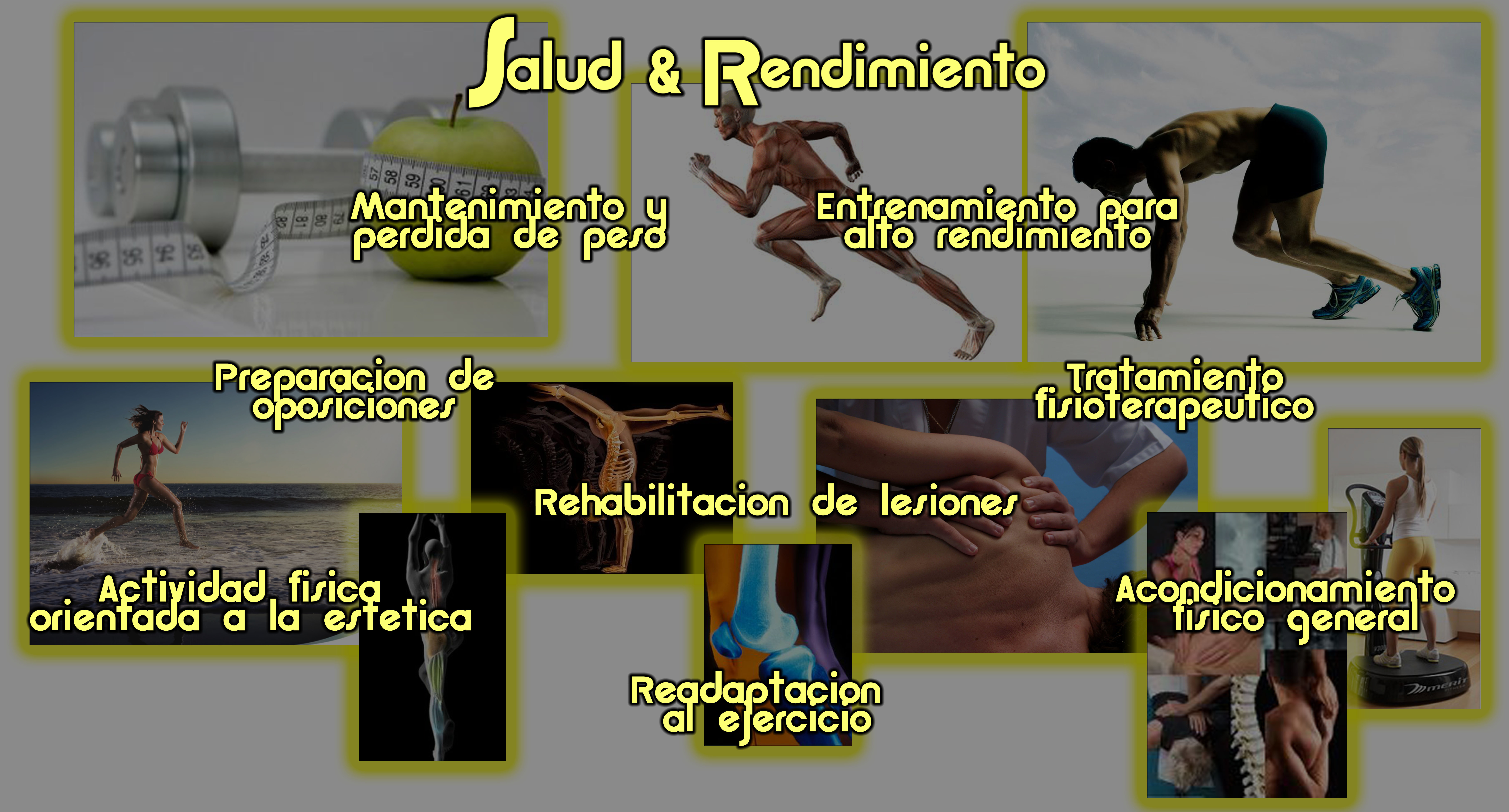 Salud & Rendimiento